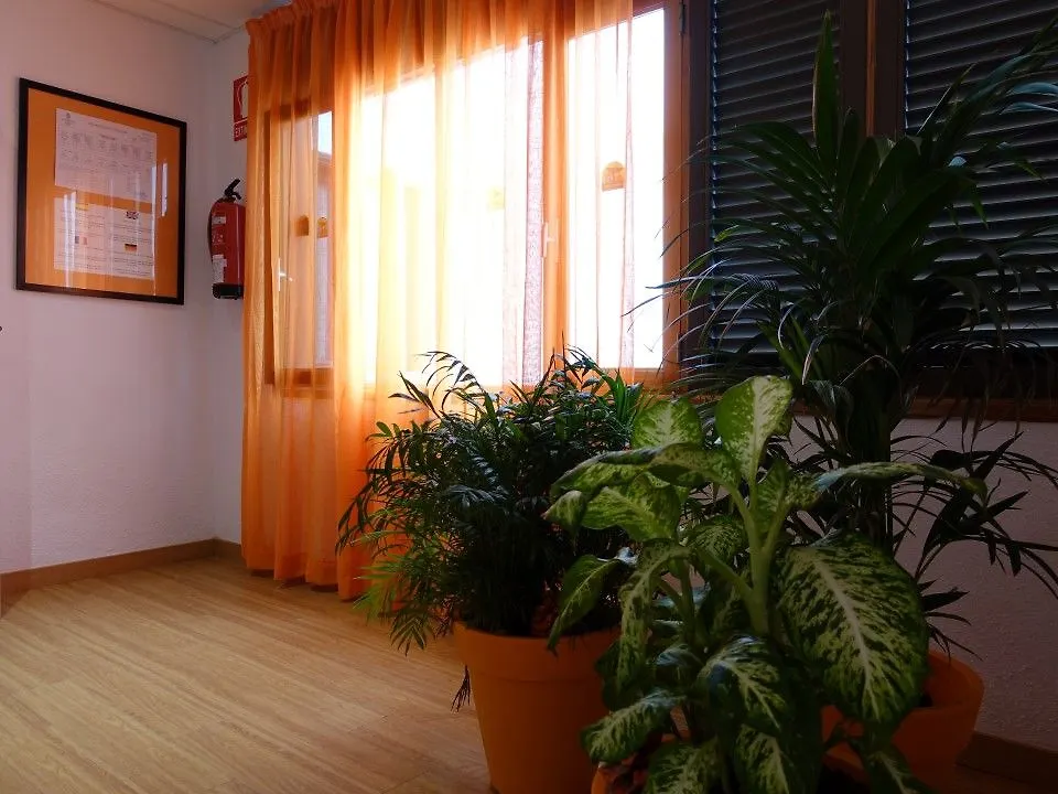 Hotel Andrea'S Los Cristianos  2*, Los Cristianos (Tenerife)