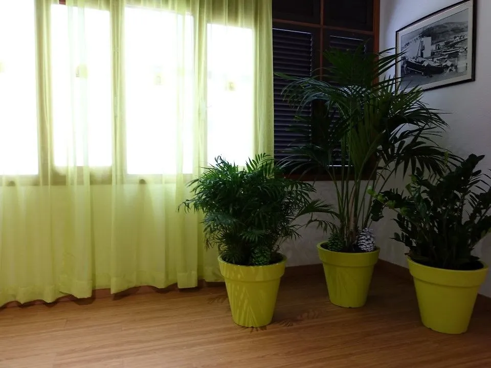 **  Hotel Andrea'S Los Cristianos  Spain