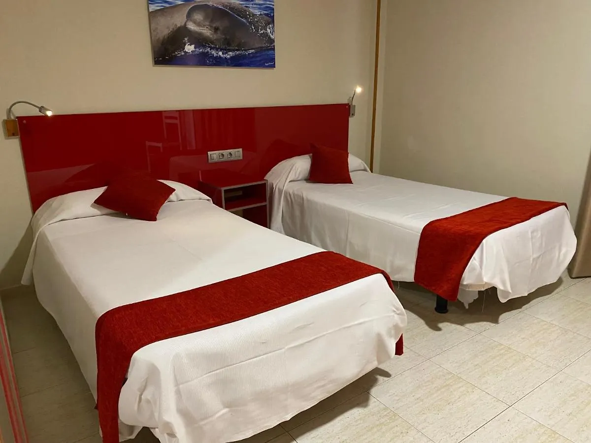 Hotel Andrea'S Los Cristianos  Los Cristianos (Tenerife)